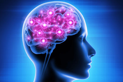 Brain