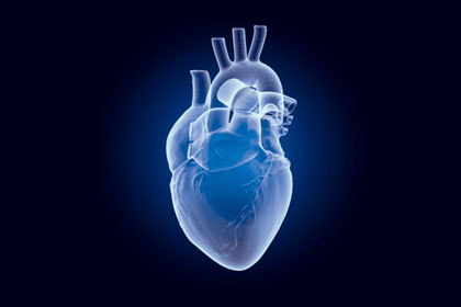 heart
