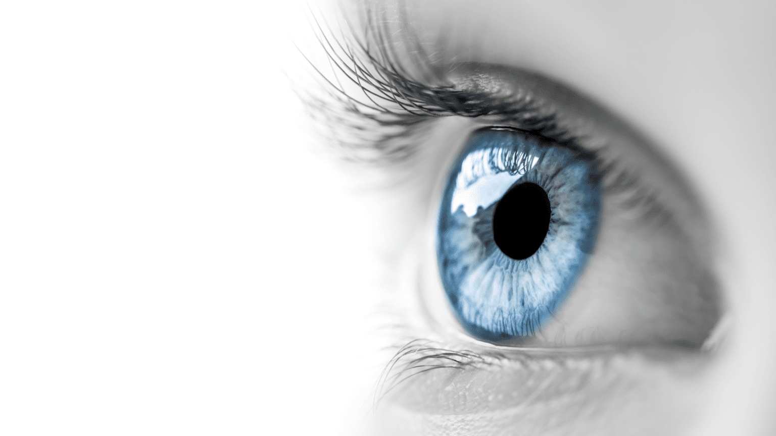 Eye