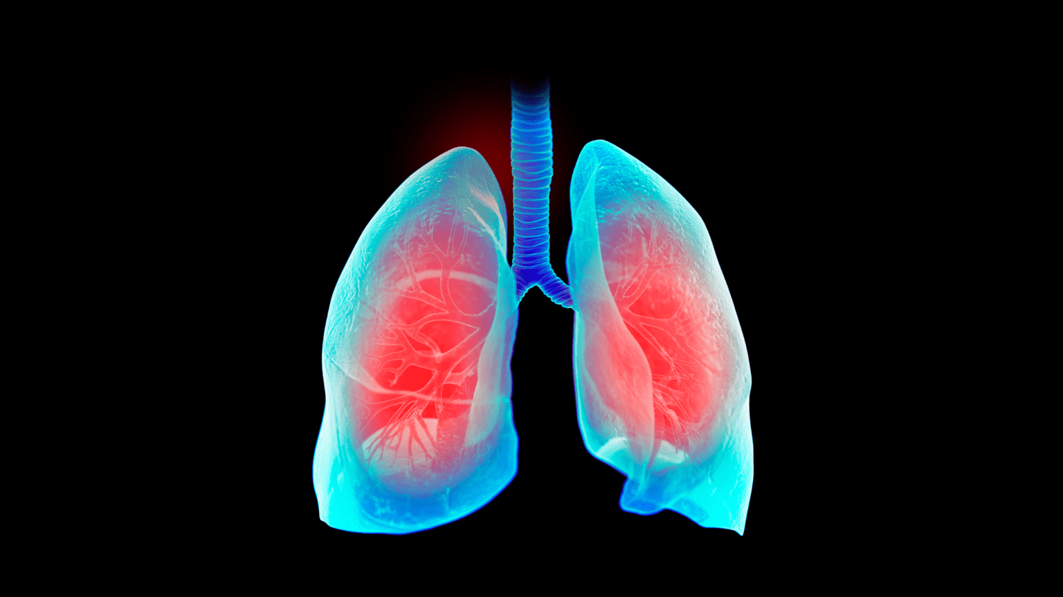 Lungs